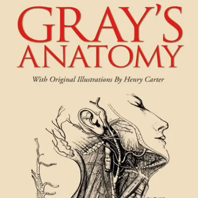 ¿Cuál es la diferencia entre las ediciones británicas y estadounidenses de Gray's Anatomy?