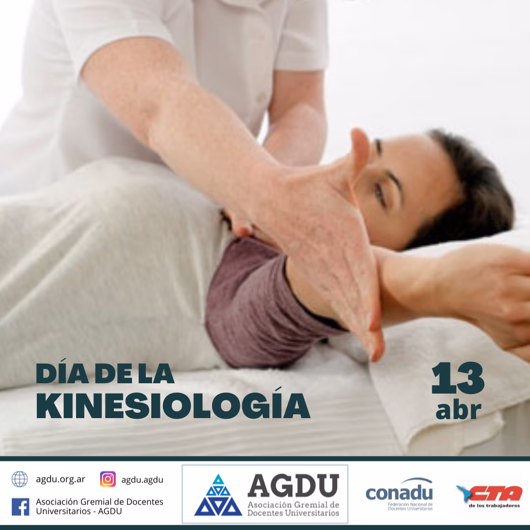 ¿Cuáles son las materias de primer año de kinesiología?