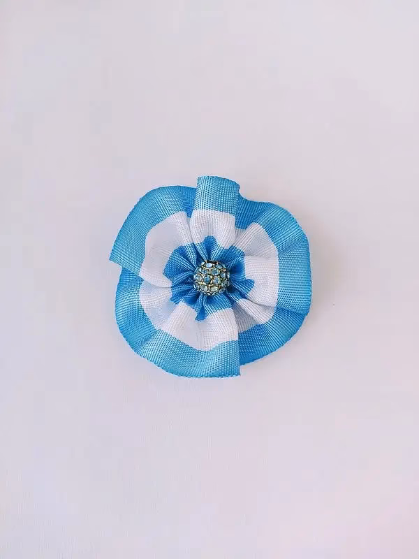 ¿Dónde se coloca la escarapela?