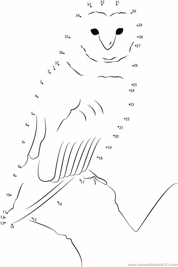 What are Christmas dot to Dot printables?