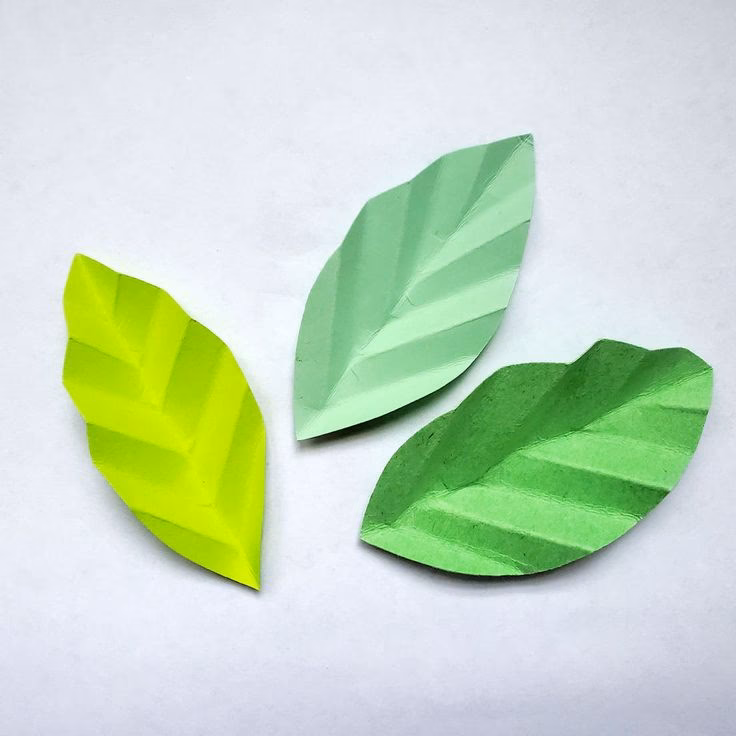 ¿Qué es una hoja de cartulina?