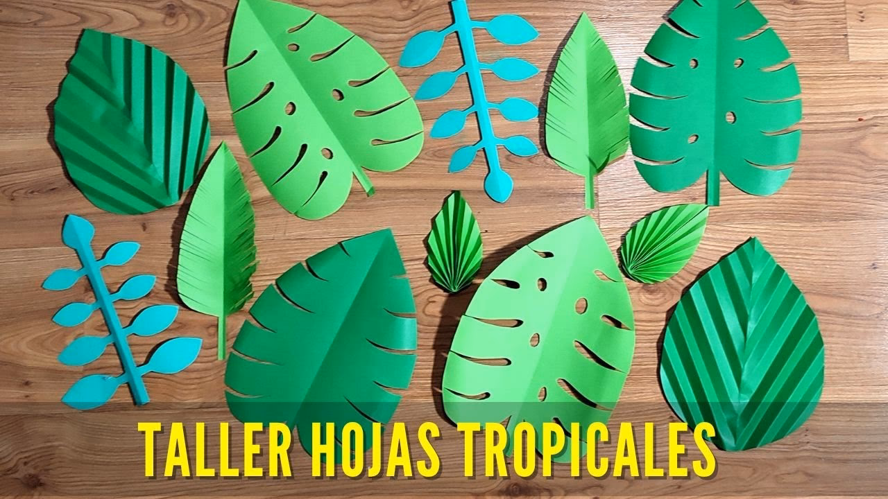 ¿Cómo dividir una hoja de cartulina?