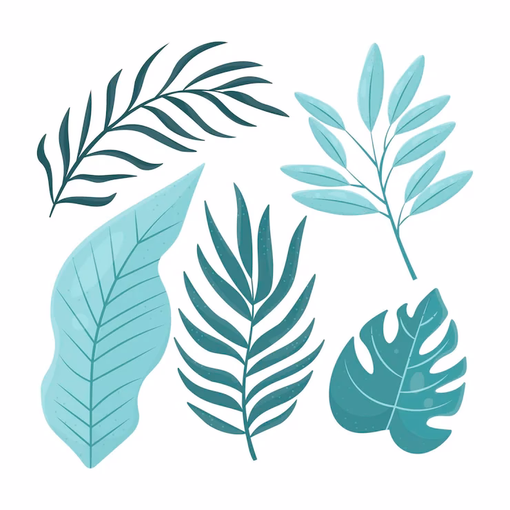 ¿Qué es el papel ilustración?