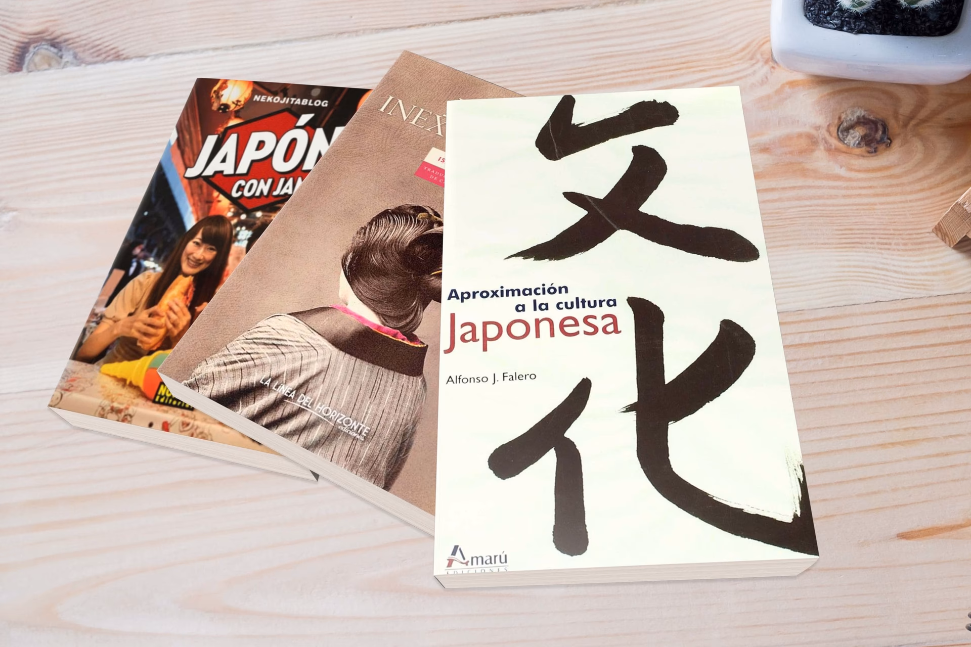 ¿Cuántas páginas tiene el libro de Japón?