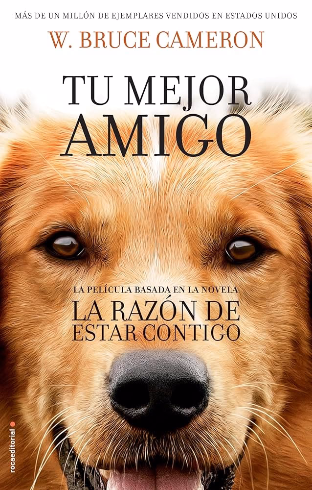 ¿Cuál es el título original de la razón de estar contigo?