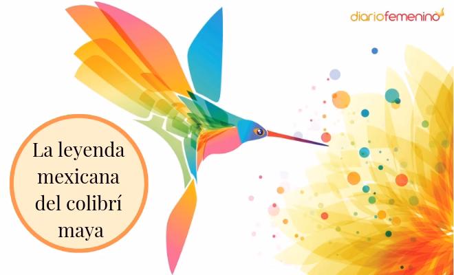 ¿Dónde llevar con nosotros un colibrí?