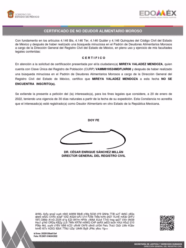 ¿Qué es la página Deudores Alimentarios?