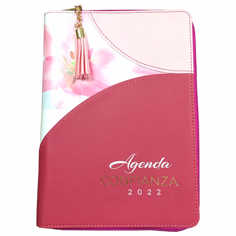 ¿Cuáles son las obras de ABBA?