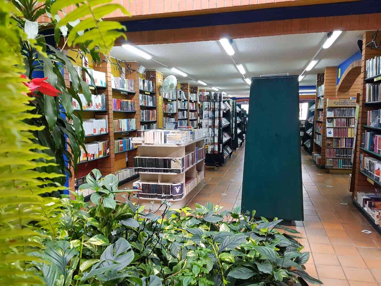 ¿Qué es Abrapalabra?