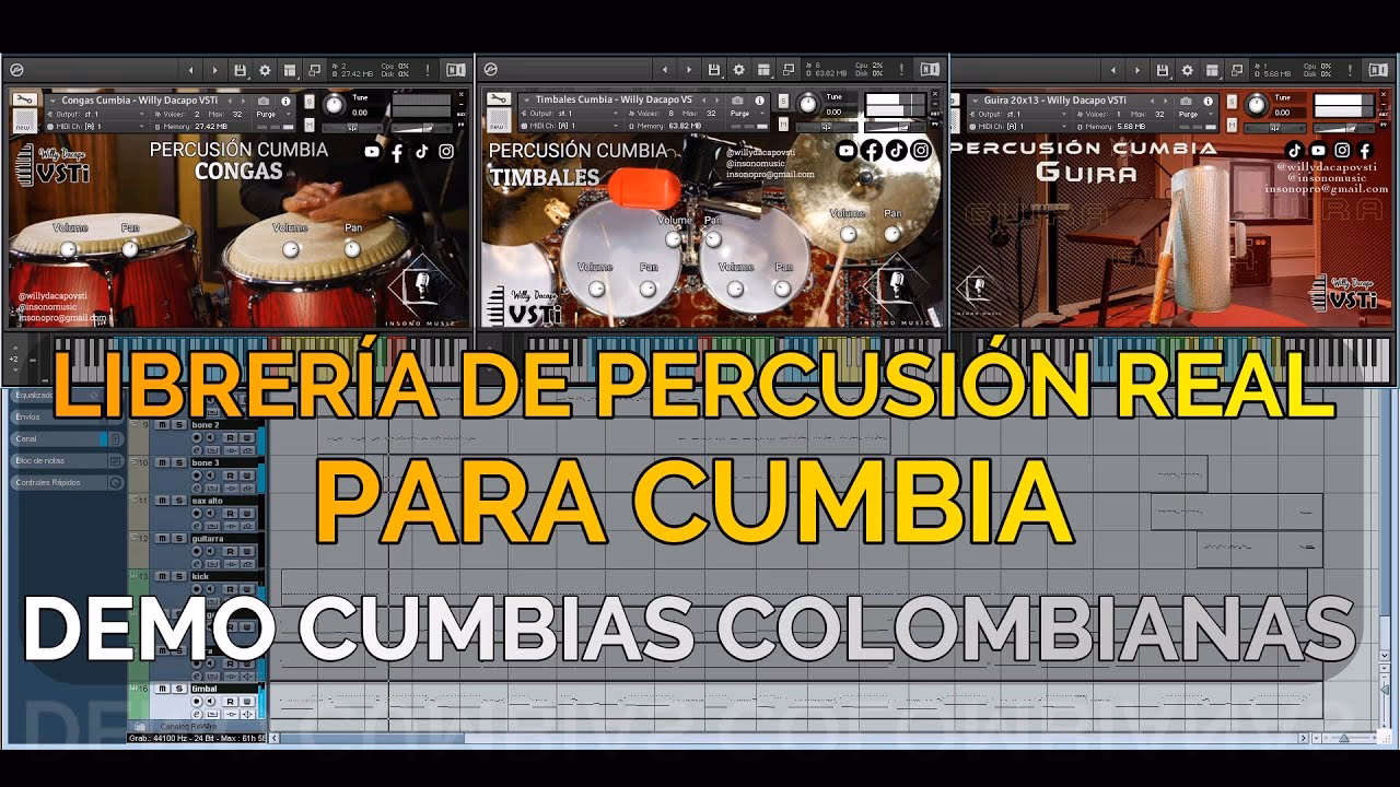 ¿Cuáles son los libros de percusión?