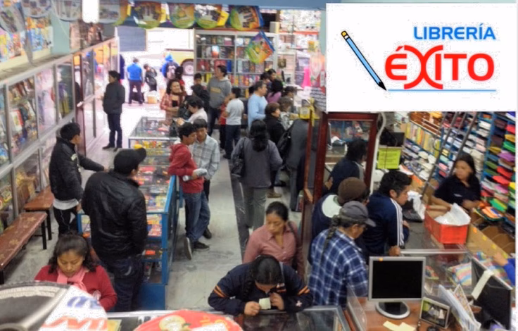 ¿Qué es el libro exito?