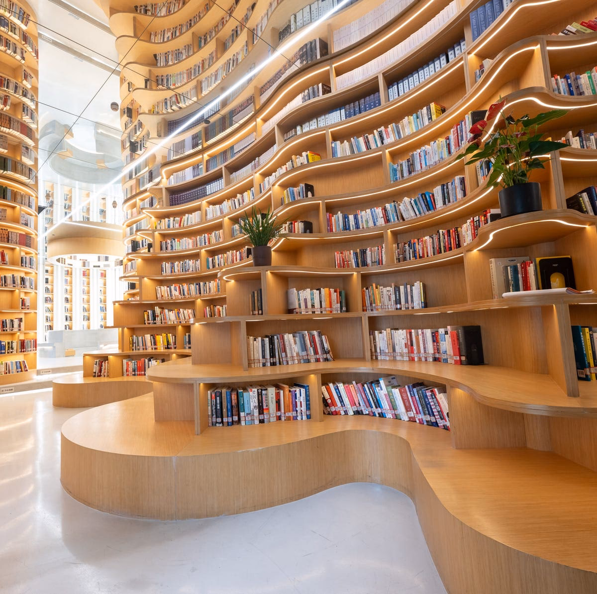 ¿Dónde se encuentra la Cooperativa de libros nuevos y usados?