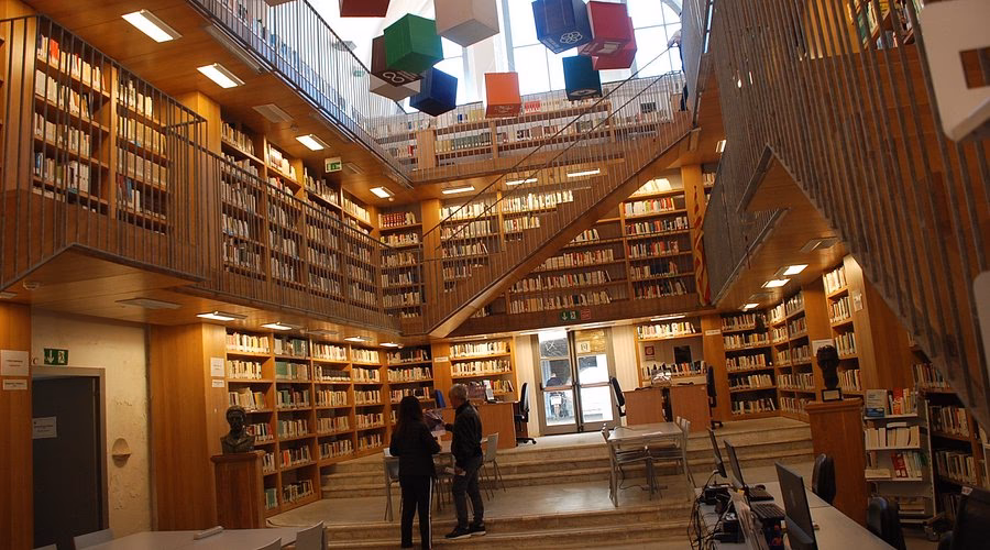 ¿Qué áreas trabaja Mediterráneo?