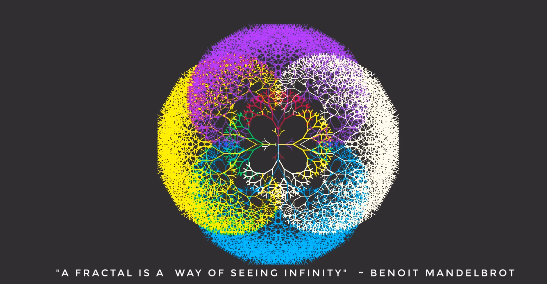 ¿Qué es la Libreria Turtle?