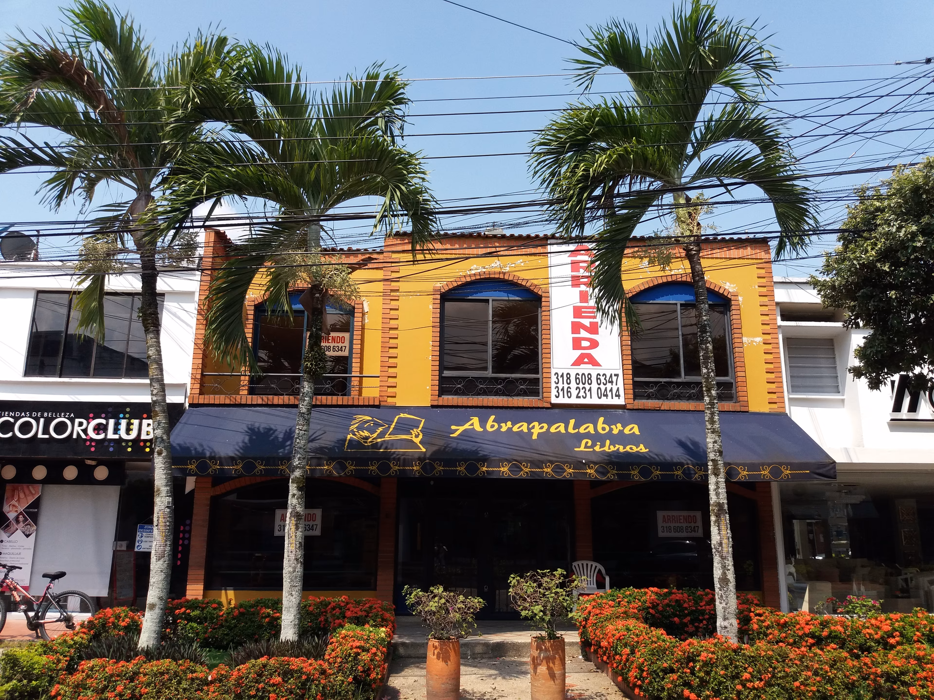 ¿Cuáles son las mejores librerías en Bucaramanga?