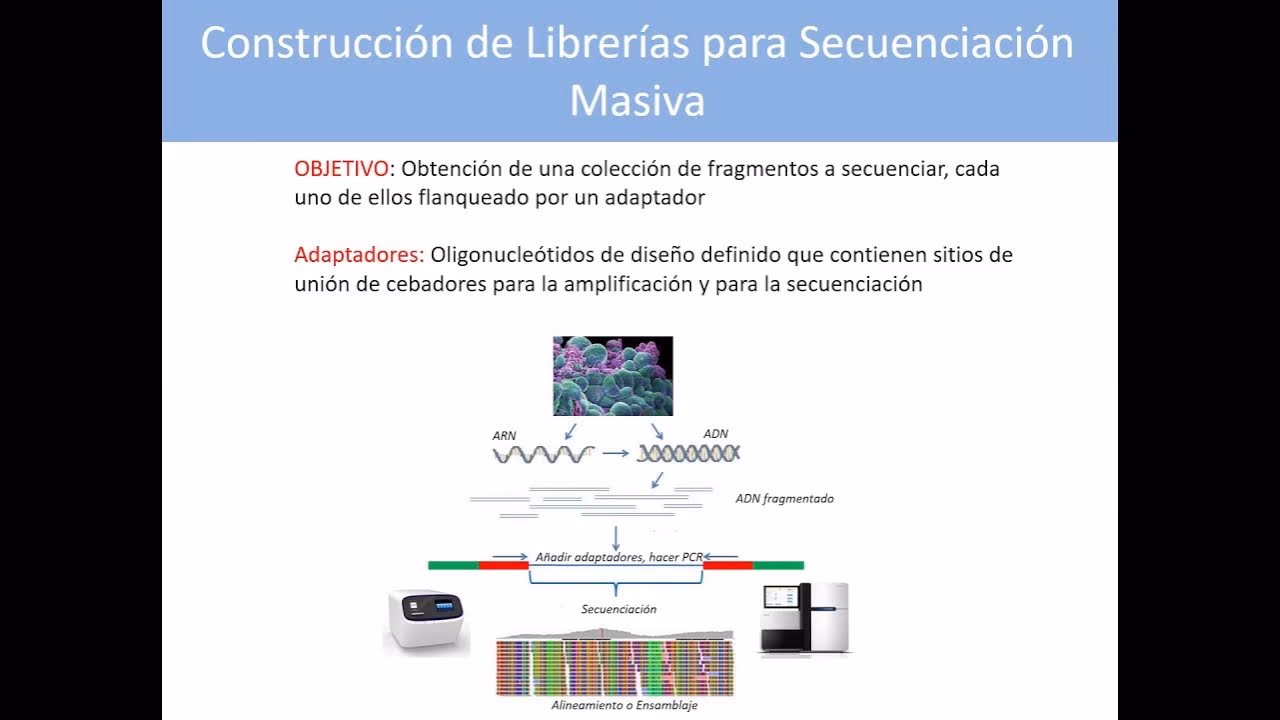 ¿Qué es el genoma y para qué sirve?