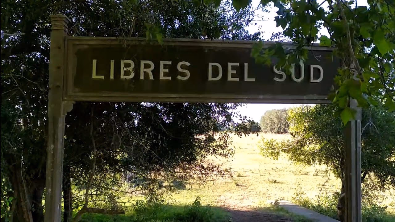 ¿Qué orden tenía el ejército de los Libres del Sur?