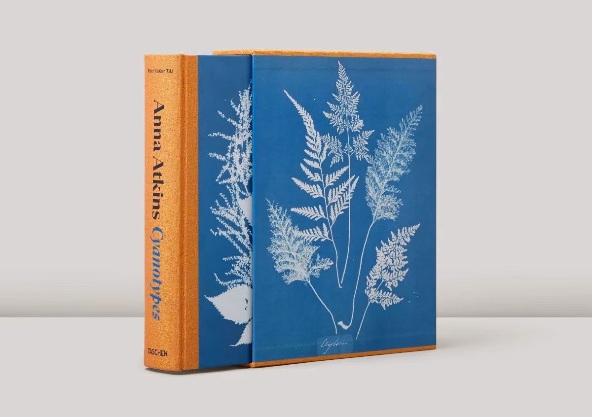 ¿Qué aporta Anna Atkins a la comunidad científica?