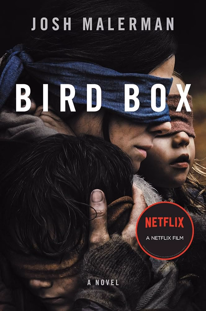 ¿Qué pasó con Bird Box?