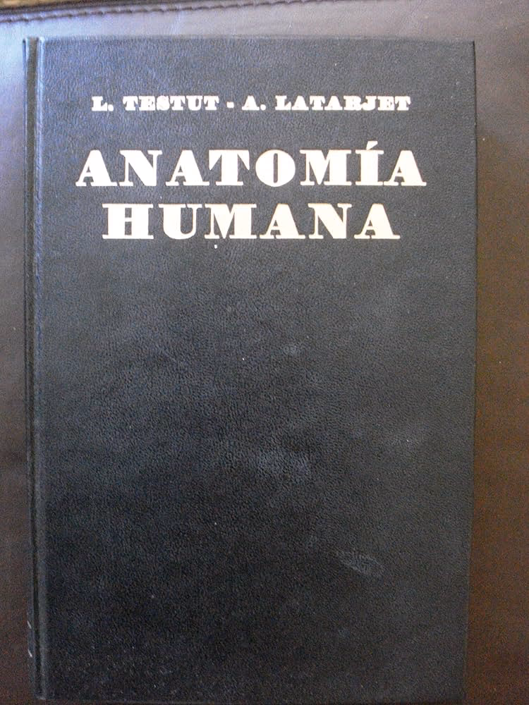 ¿Qué es un test de Anatomía humana?