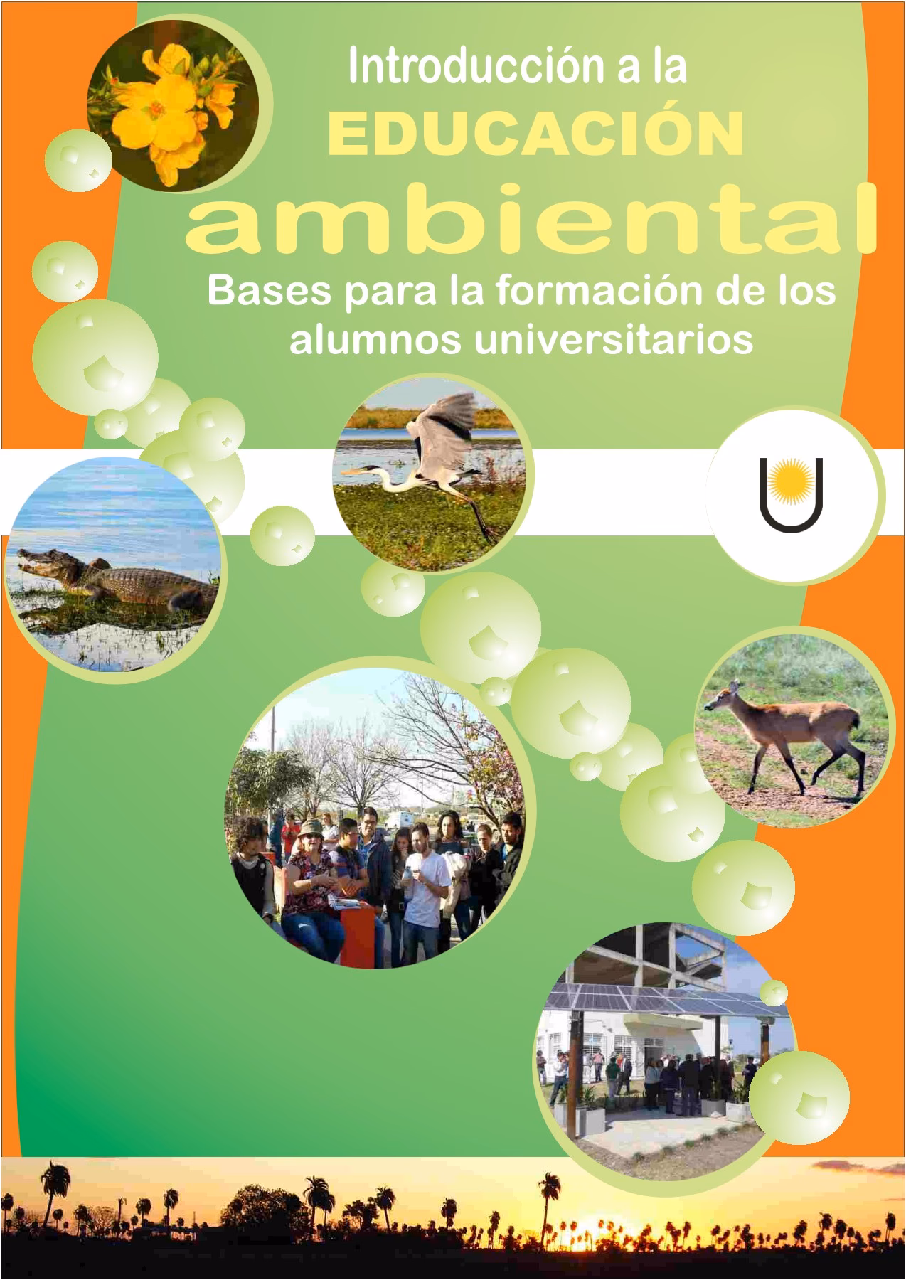 ¿Qué es el programa de Educación Ambiental Integral?