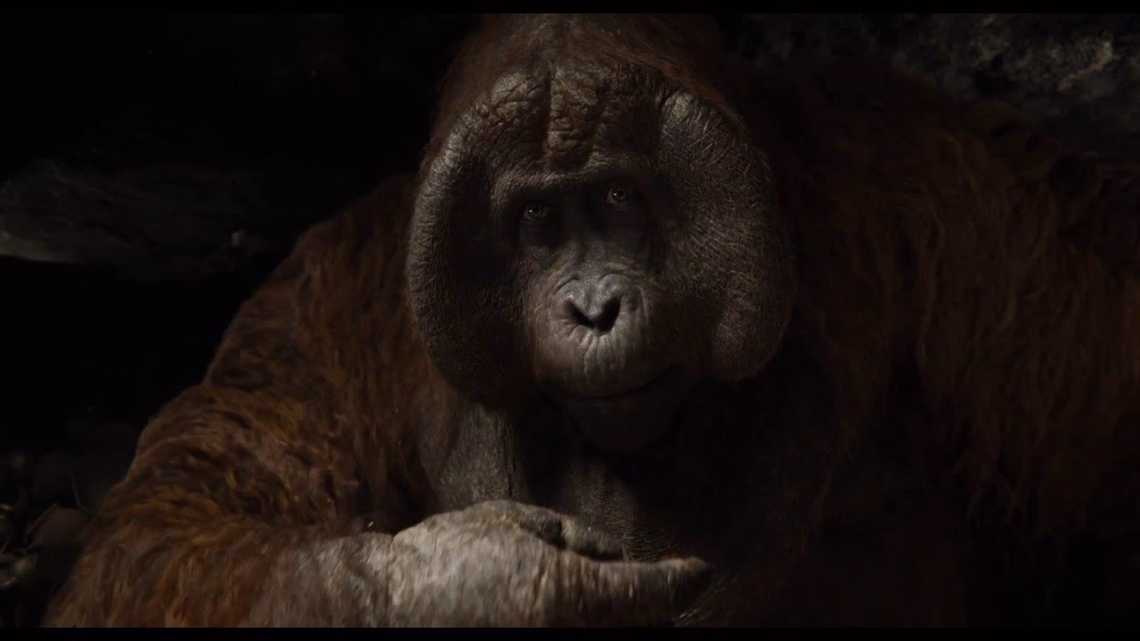 ¿Qué es el libro de la selva?