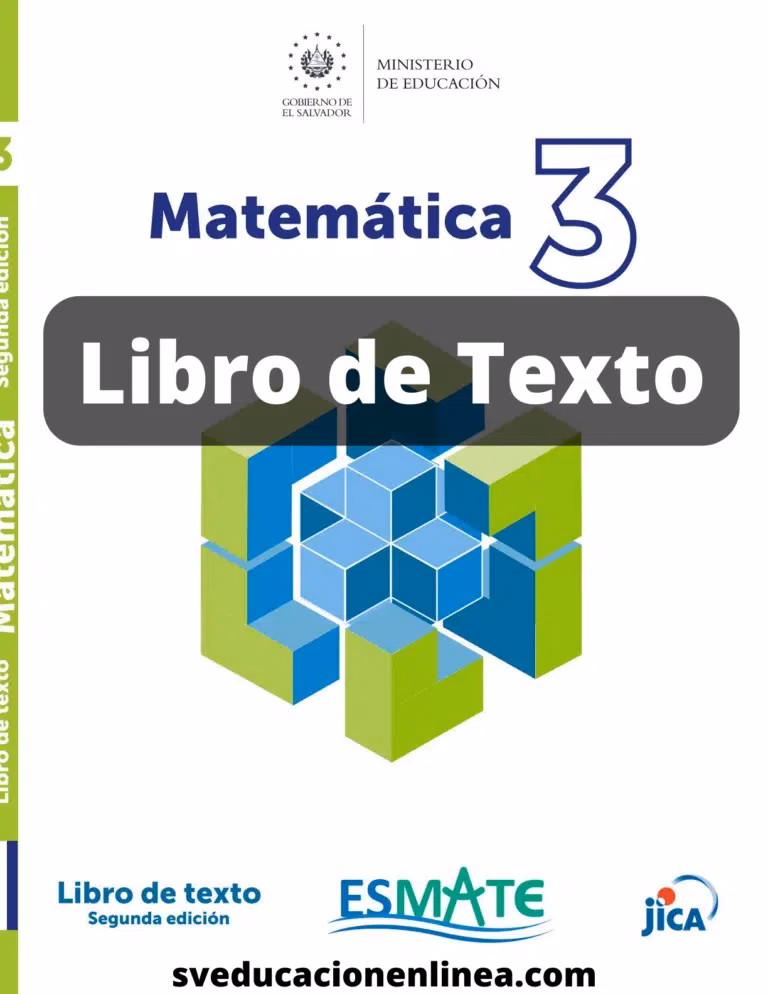 ¿Qué tema aborda el libro de Estudar y aprender de matemática?