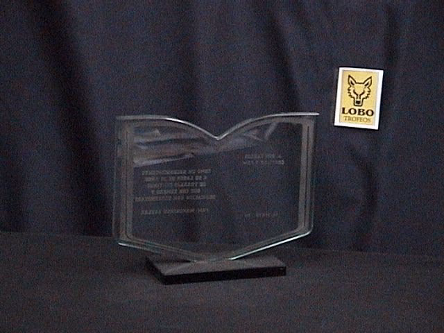 ¿Qué es el libro del vidrio?