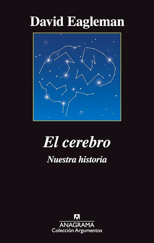 ¿Qué es el cerebro?