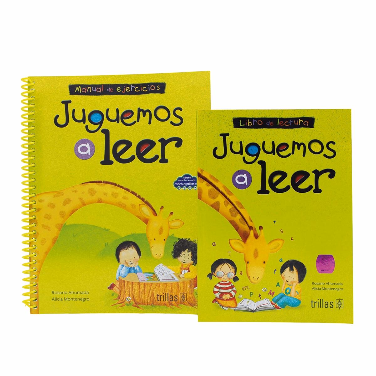 ¿Qué es el libro Juguemos a leer?