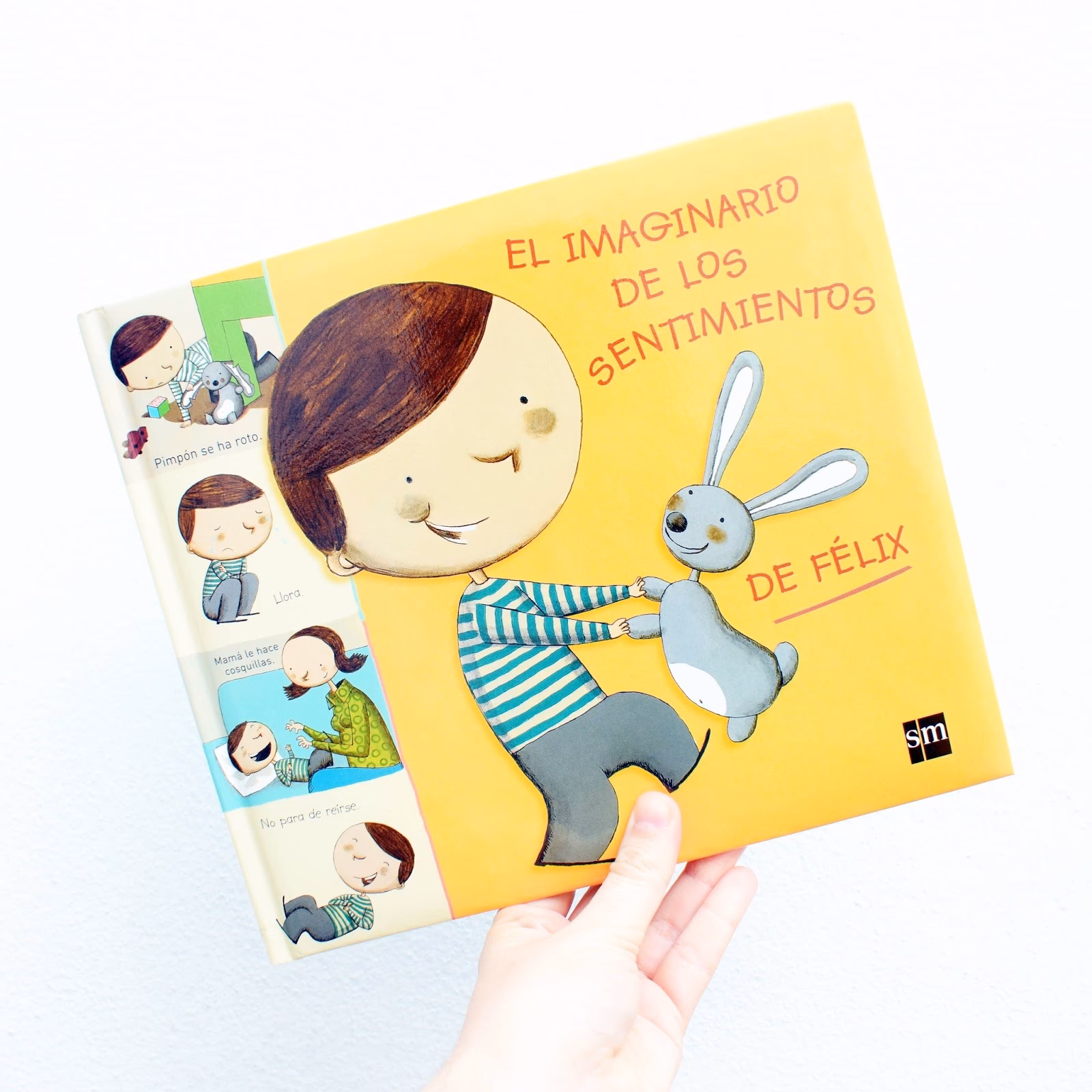 ¿Qué es el libro de los sentimientos?