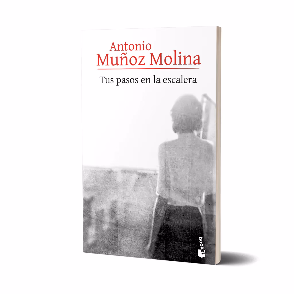 ¿Cuáles son los parámetros de escalera?