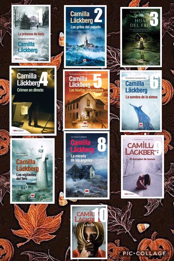 ¿Cómo se llama la segunda serie de Camilla Läckberg?