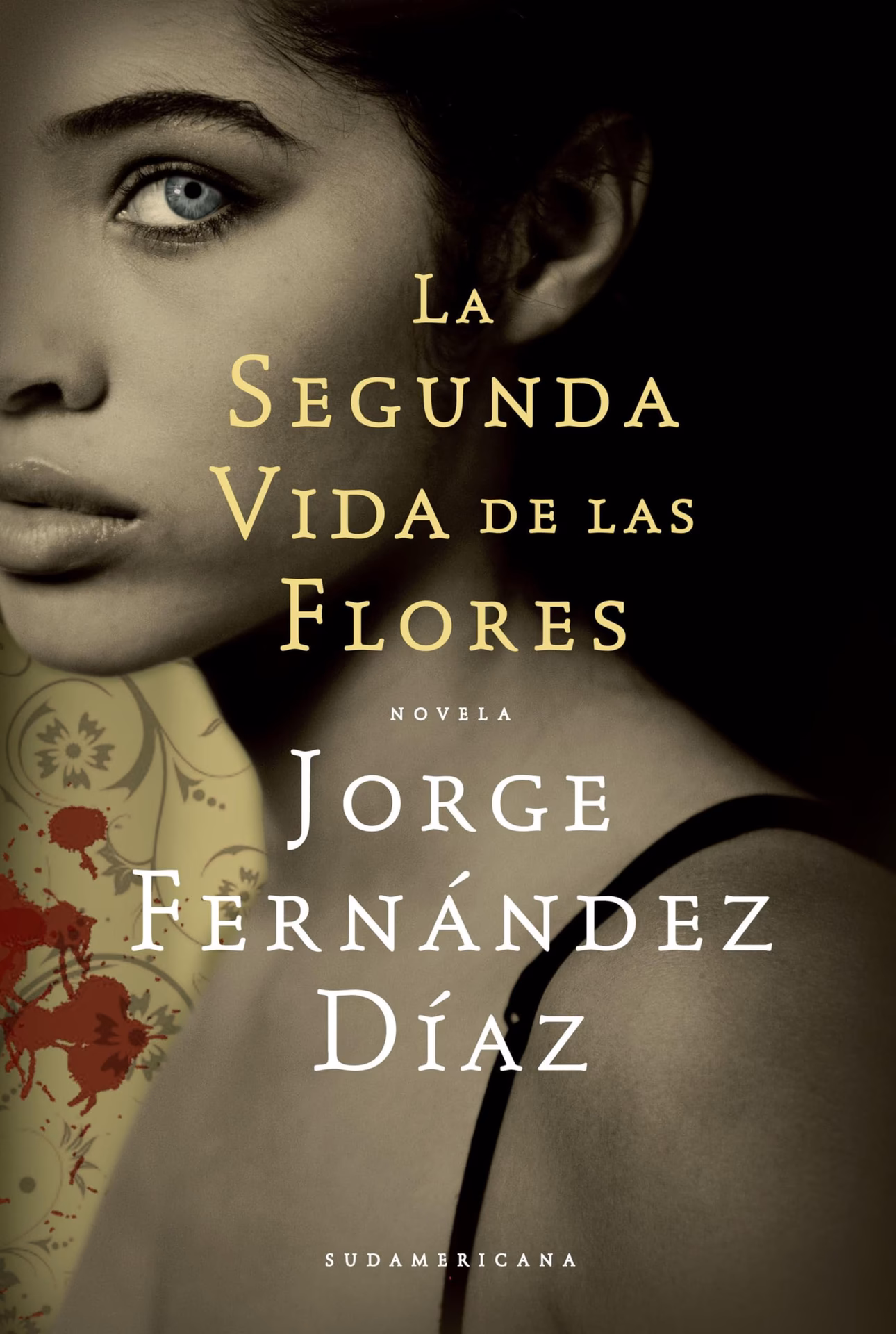 ¿Cuántos libros tiene Jorge Fernández Díaz?