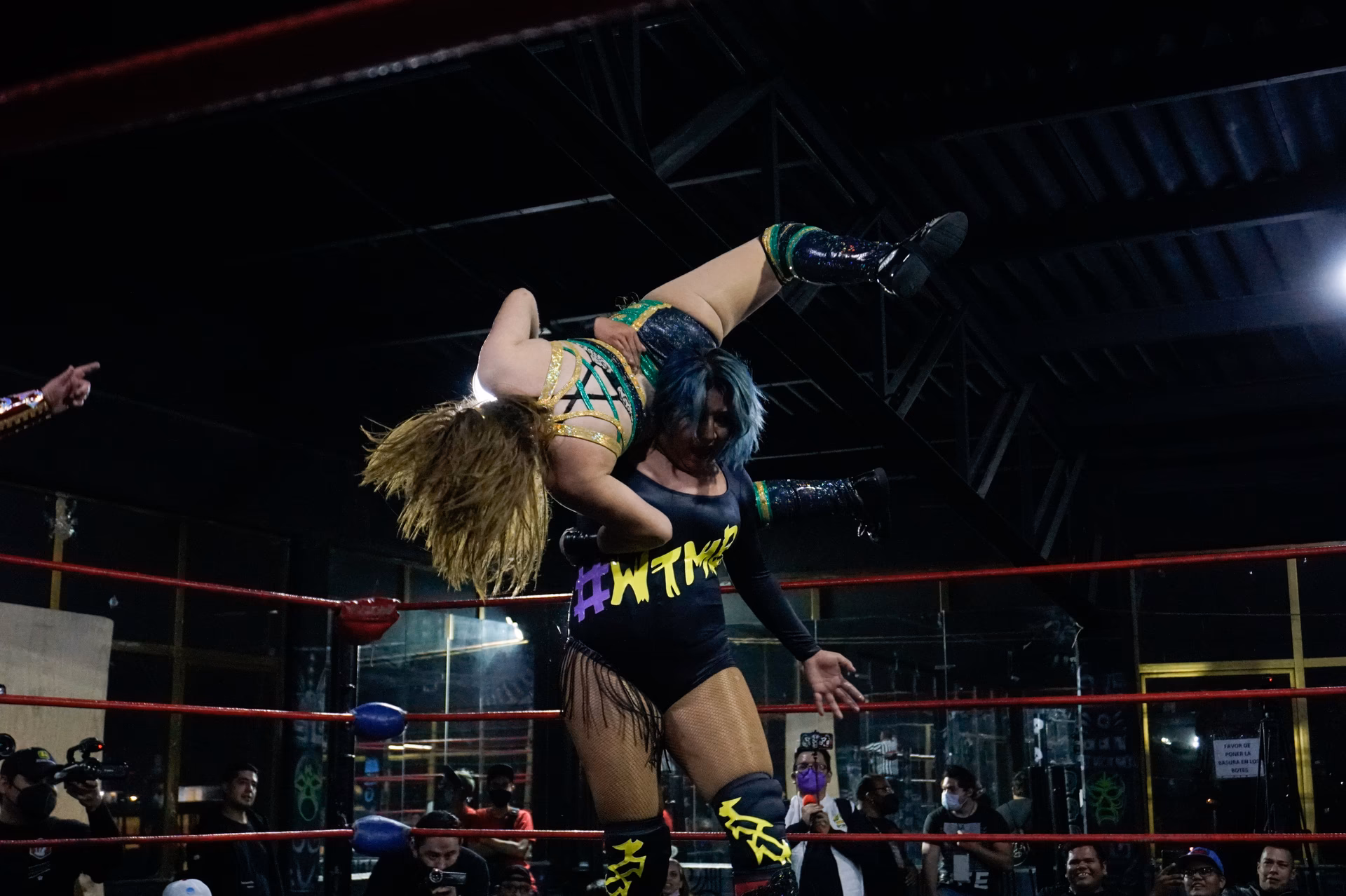 What does Lucha Libre mean?