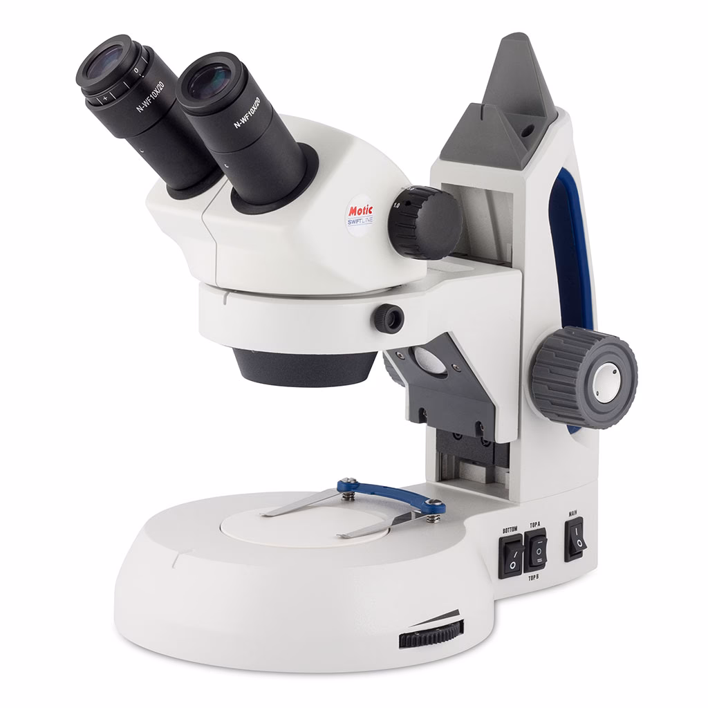 ¿Qué se puede ver con una lupa?