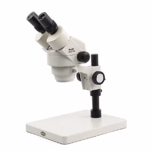 ¿Qué es la lupa microscopio y para qué sirve?