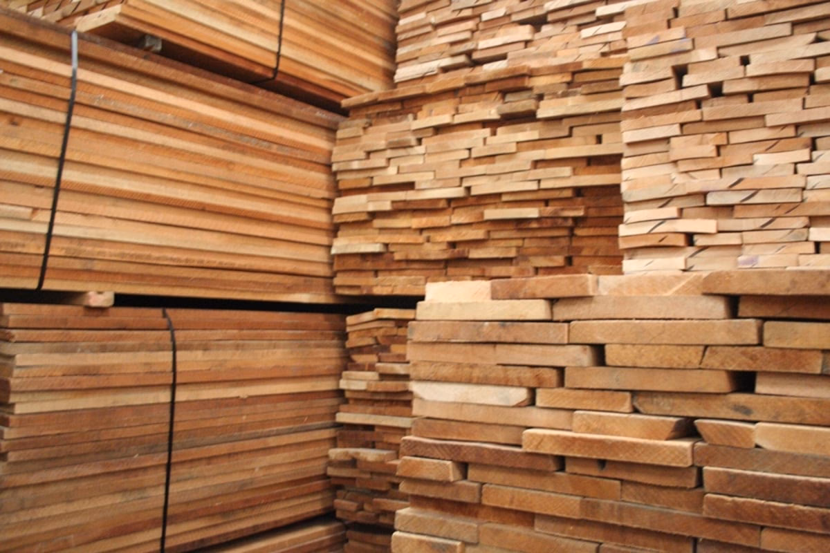 ¿Qué es la zona maderera de pino?