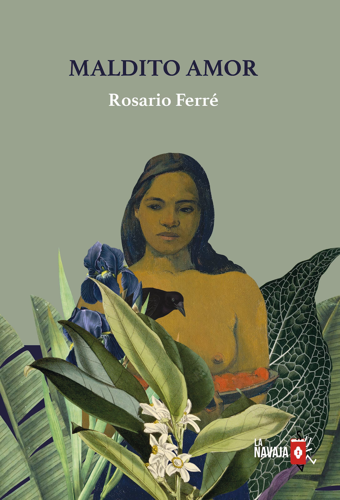 ¿Quién es el autor del libro de mal amor?