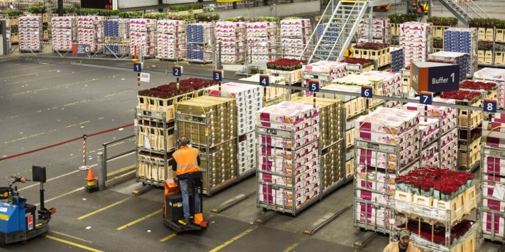 ¿Qué factores influyen en los precios mayoristas de almacén?