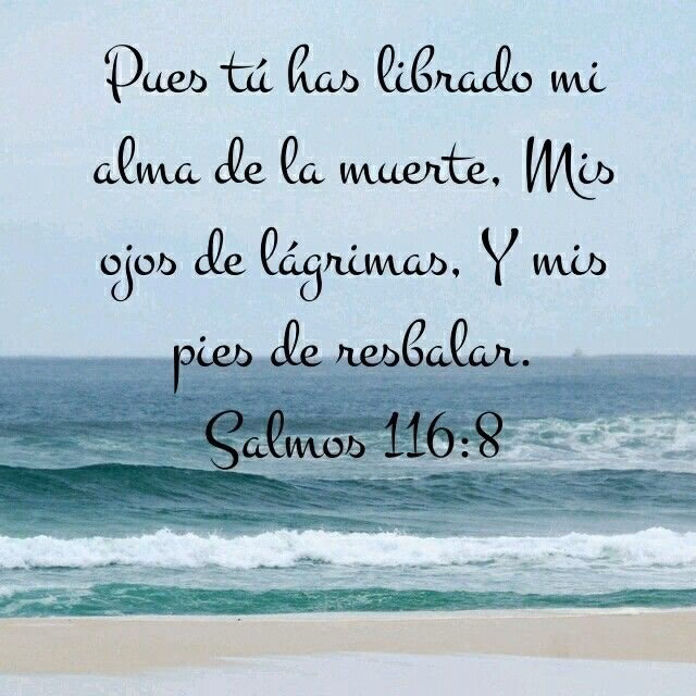 ¿Qué dice la Biblia sobre la muerte?
