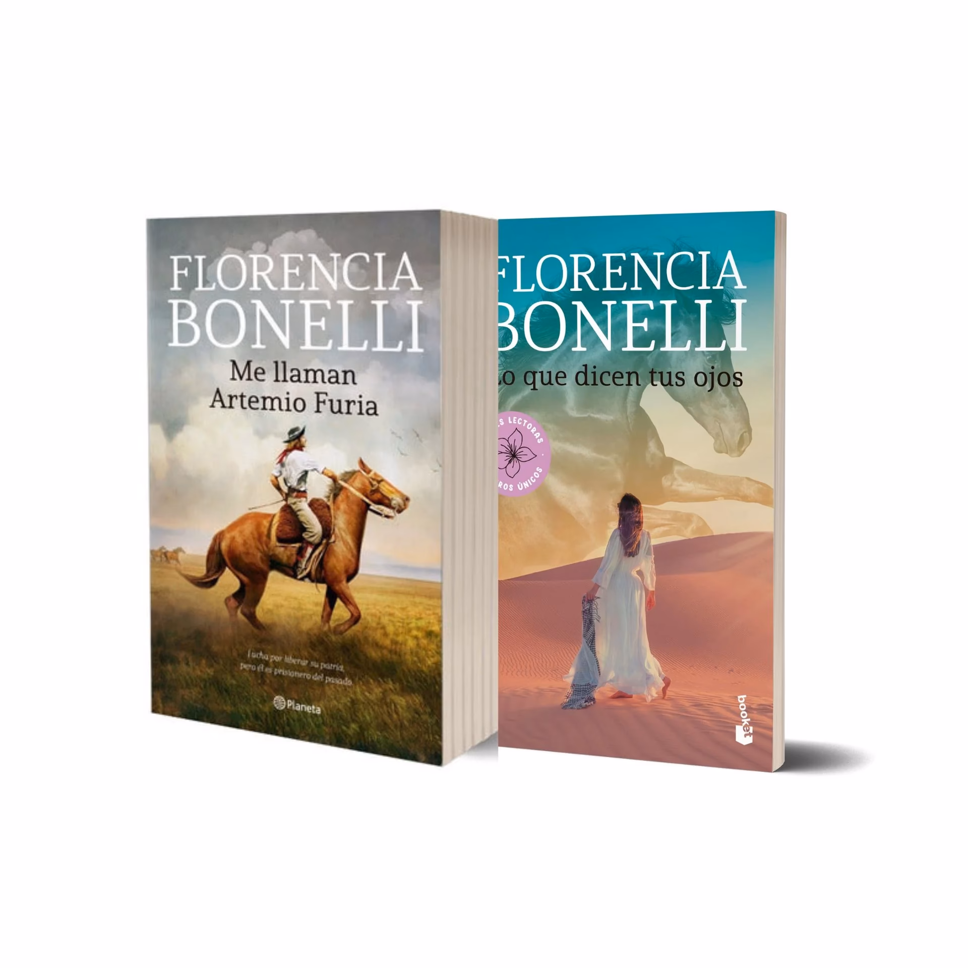 ¿Qué es la furia del libro?