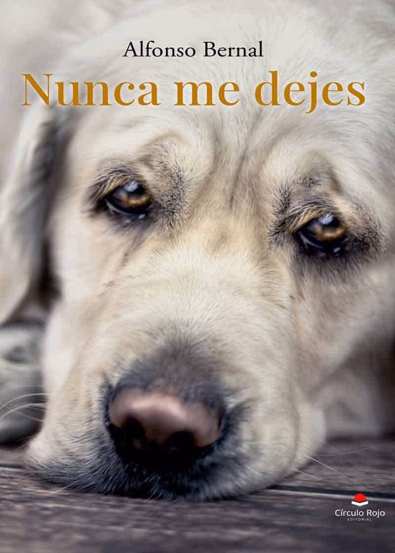 ¿Qué premios recibió 'Nunca me abandones'?