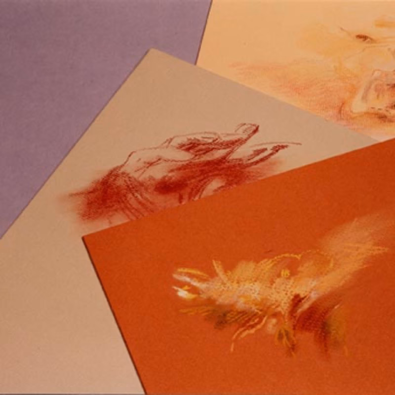 ¿Cómo elegir el papel para pastel?