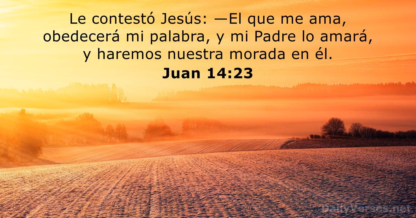 ¿Cuál es el fundamento evangélico de la obediencia religiosa?