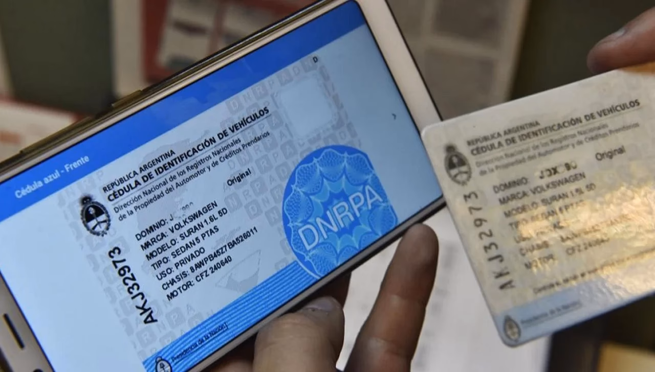 ¿Cuál es la diferencia entre cedula verde y azul?