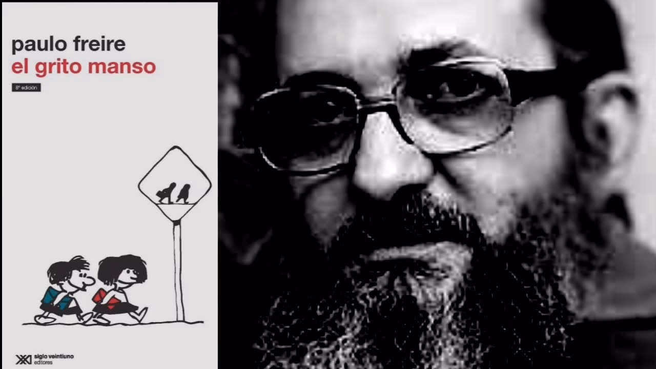 ¿Cuál es el propósito de la reseña el grito Manso?