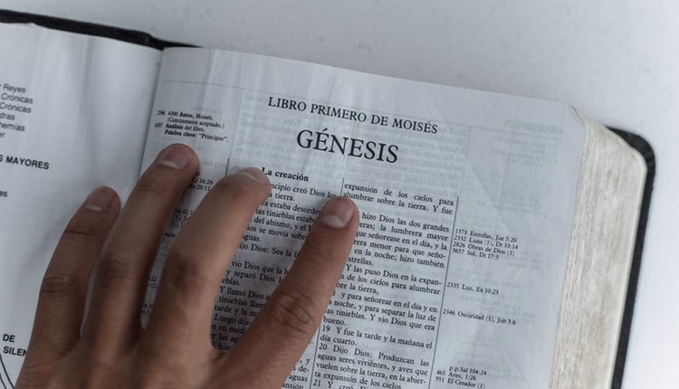 ¿Qué es el título de un libro?