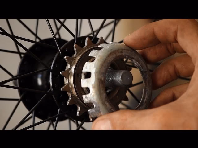 ¿Qué es el piñón y para qué sirve?