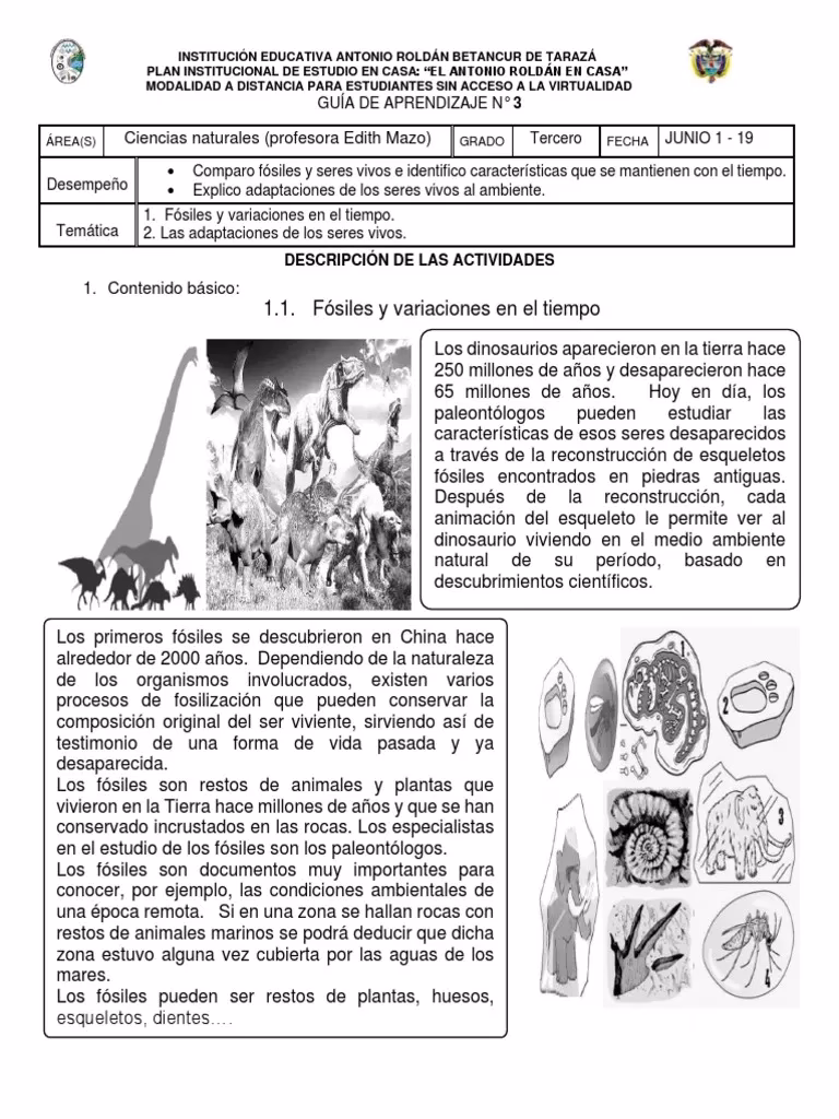 ¿Cuál es la ciencia que se encarga del estudio de los fósiles?
